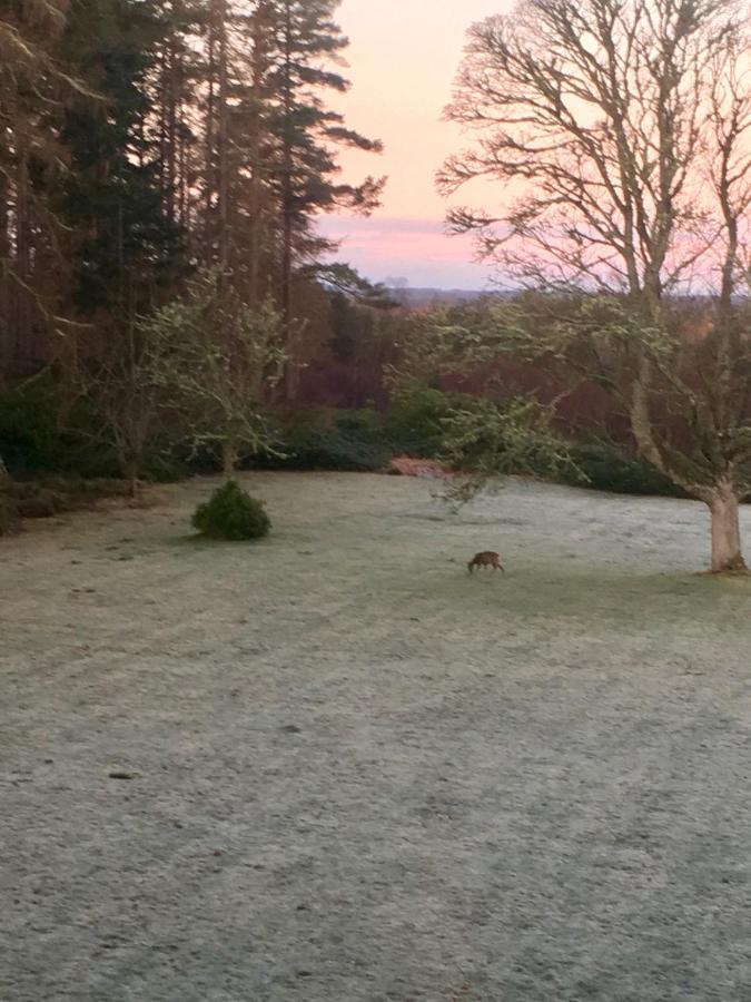 Hotel Blervie House Forres Esterno foto